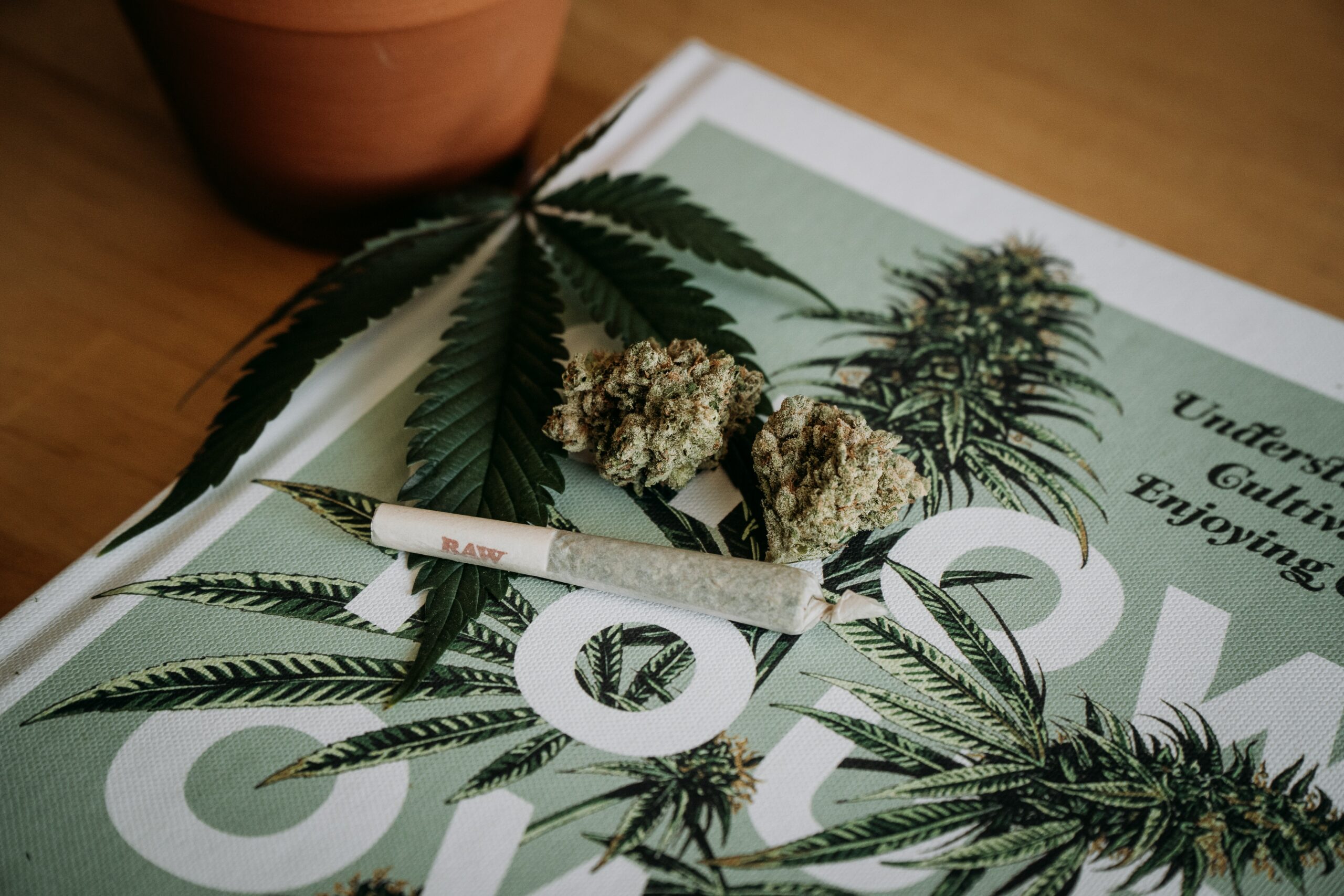 joint and bud cannabis use on a weed magazine for med marketers cannabis agency